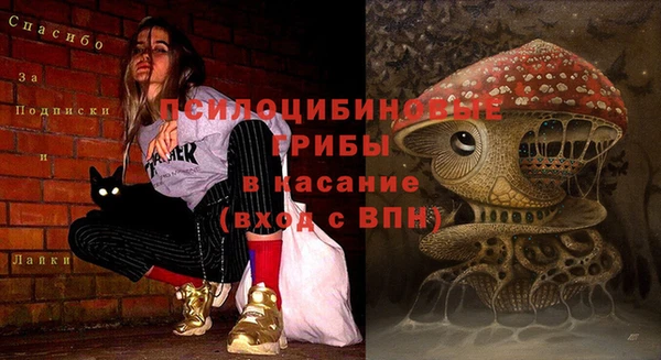 mdpv Алзамай