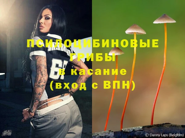 mdpv Алзамай