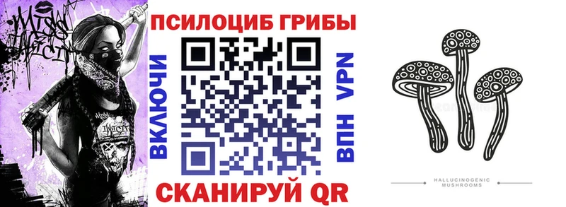 Псилоцибиновые грибы Magic Shrooms  Арск 